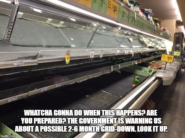 Empty Grocery Store | WHATCHA GONNA DO WHEN THIS HAPPENS? ARE YOU PREPARED? THE GOVERNMENT IS WARNING US ABOUT A POSSIBLE 2-6 MONTH GRID-DOWN. LOOK IT UP. | image tagged in empty grocery store | made w/ Imgflip meme maker