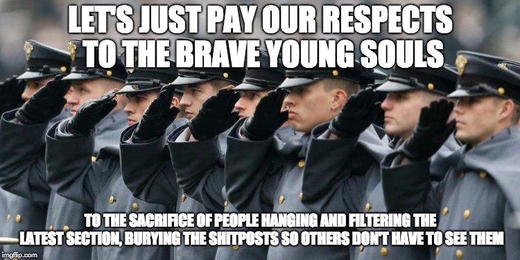 Military Salute | LET'S JUST PAY OUR RESPECTS TO THE BRAVE YOUNG SOULS; TO THE SACRIFICE OF PEOPLE HANGING AND FILTERING THE LATEST SECTION, BURYING THE SHITPOSTS SO OTHERS DON'T HAVE TO SEE THEM | image tagged in military salute,press f to pay respects,brave souls,latest stream | made w/ Imgflip meme maker