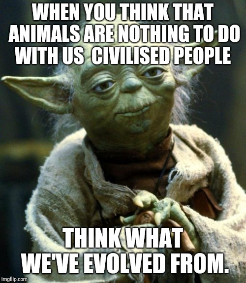 Star Wars Yoda | WHEN YOU THINK THAT ANIMALS ARE NOTHING TO DO WITH US 
CIVILISED PEOPLE; THINK WHAT WE'VE EVOLVED FROM. | image tagged in memes,star wars yoda,funny,latest,funny memes | made w/ Imgflip meme maker