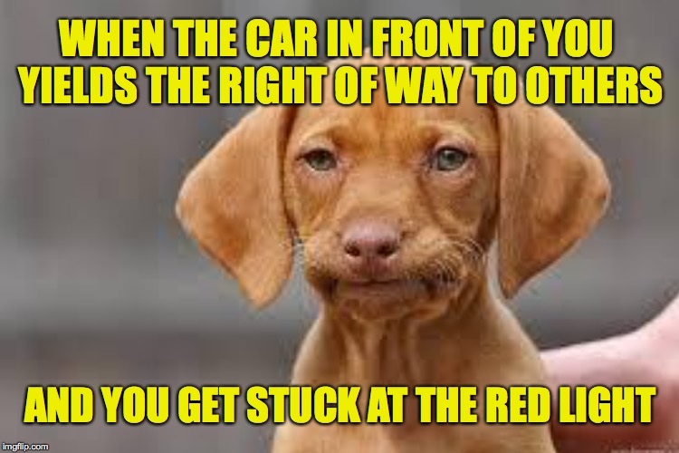That's life... | WHEN THE CAR IN FRONT OF YOU YIELDS THE RIGHT OF WAY TO OTHERS; AND YOU GET STUCK AT THE RED LIGHT | image tagged in memes,disappointed dog,other people | made w/ Imgflip meme maker