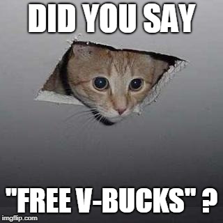 Ceiling Cat Meme | DID YOU SAY; "FREE V-BUCKS" ? | image tagged in memes,ceiling cat | made w/ Imgflip meme maker