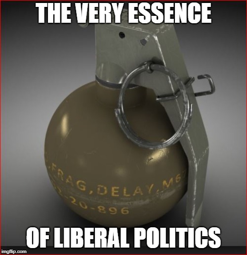 Hand Grenade | THE VERY ESSENCE; OF LIBERAL POLITICS | image tagged in hand grenade | made w/ Imgflip meme maker