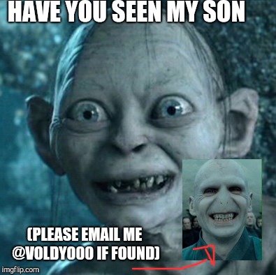 Lost and found | HAVE YOU SEEN MY SON; (PLEASE EMAIL ME @VOLDY000 IF FOUND) | image tagged in memes,gollum,voldemort,harry potter | made w/ Imgflip meme maker
