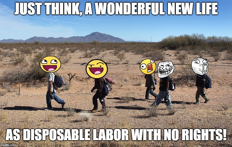 Meme-igrants Crossing The Border | JUST THINK, A WONDERFUL NEW LIFE; AS DISPOSABLE LABOR WITH NO RIGHTS! | image tagged in meme-igrants crossing the border | made w/ Imgflip meme maker