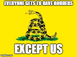 Gadsden Flag | EVERYONE GETS TO HAVE BORDERS; EXCEPT US | image tagged in gadsden flag | made w/ Imgflip meme maker