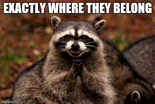 Evil Plotting Raccoon Meme | EXACTLY WHERE THEY BELONG | image tagged in memes,evil plotting raccoon | made w/ Imgflip meme maker