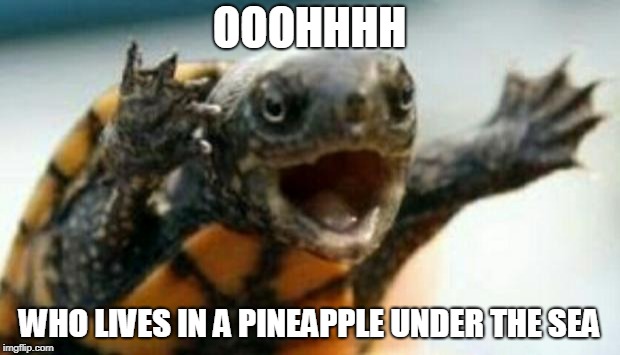 Turtle Say What? | OOOHHHH; WHO LIVES IN A PINEAPPLE UNDER THE SEA | image tagged in turtle say what | made w/ Imgflip meme maker