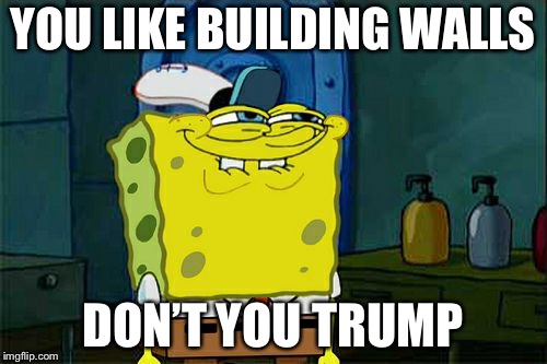 Don't You Squidward Meme | YOU LIKE BUILDING WALLS; DON’T YOU TRUMP | image tagged in memes,dont you squidward | made w/ Imgflip meme maker