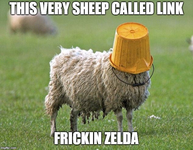 stupid sheep | THIS VERY SHEEP CALLED LINK; FRICKIN ZELDA | image tagged in stupid sheep | made w/ Imgflip meme maker