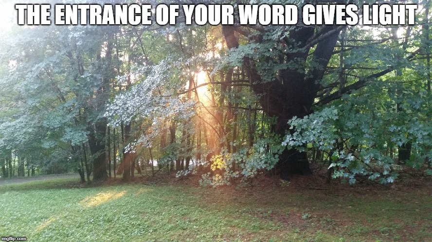 life | THE ENTRANCE OF YOUR WORD GIVES LIGHT | image tagged in life | made w/ Imgflip meme maker