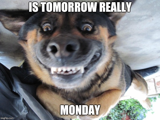 IS TOMORROW REALLY; MONDAY | image tagged in happy monday | made w/ Imgflip meme maker