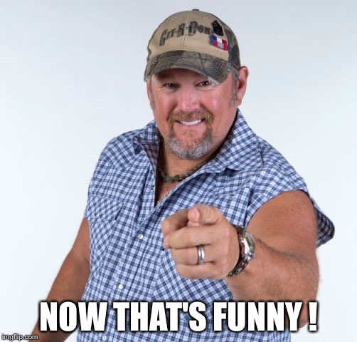 Larry the Cable Guy | NOW THAT'S FUNNY ! | image tagged in larry the cable guy | made w/ Imgflip meme maker