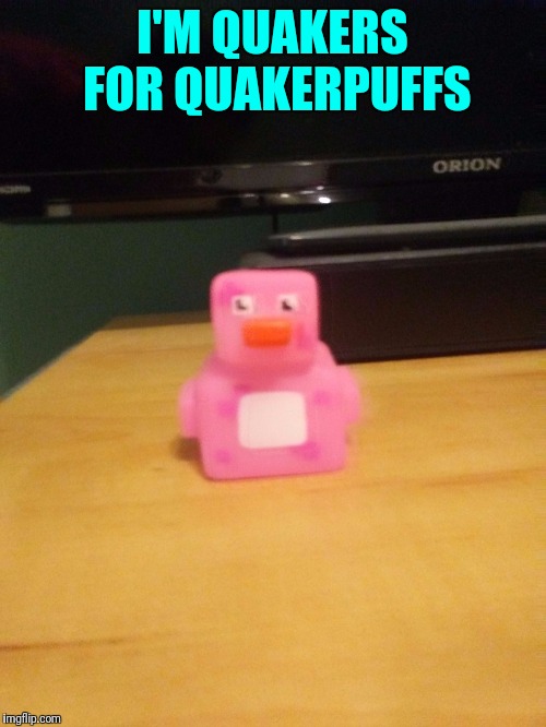I'M QUAKERS FOR QUAKERPUFFS | image tagged in duck | made w/ Imgflip meme maker