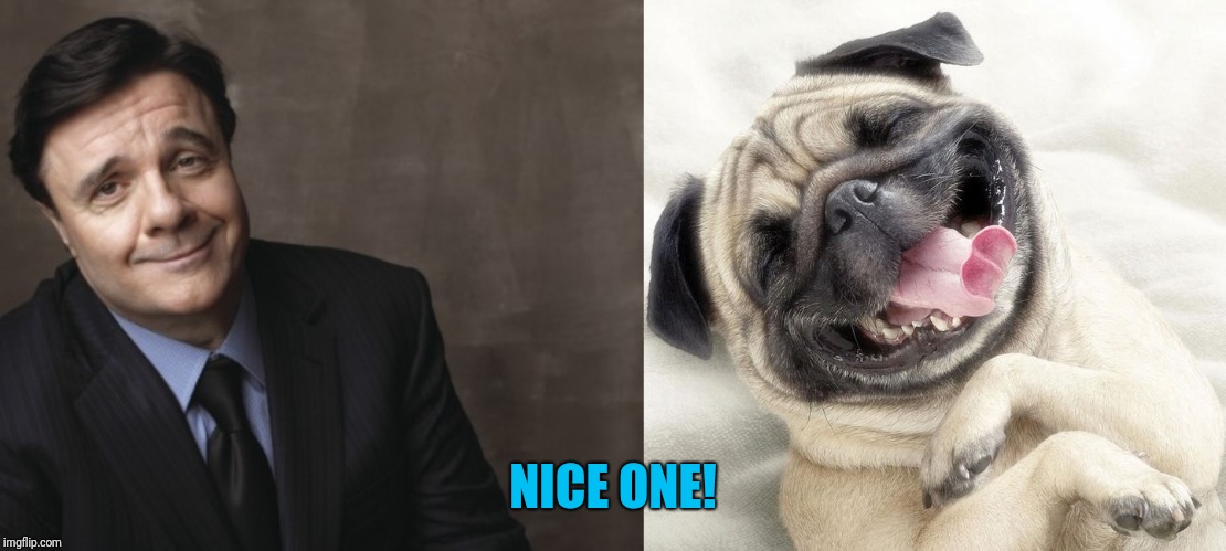 NICE ONE! | image tagged in nathan lane dog | made w/ Imgflip meme maker