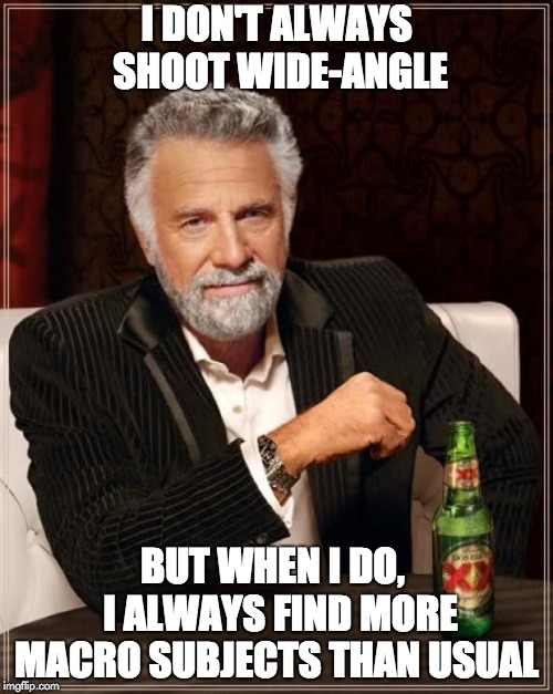 The Most Interesting Man In The World Meme | I DON'T ALWAYS SHOOT WIDE-ANGLE; BUT WHEN I DO,  I ALWAYS FIND MORE MACRO SUBJECTS THAN USUAL | image tagged in memes,the most interesting man in the world | made w/ Imgflip meme maker