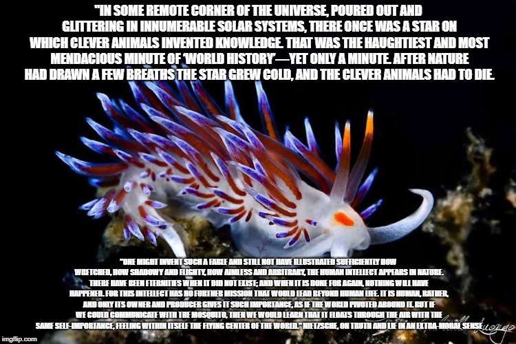 "IN SOME REMOTE CORNER OF THE UNIVERSE, POURED OUT AND GLITTERING IN INNUMERABLE SOLAR SYSTEMS, THERE ONCE WAS A STAR ON WHICH CLEVER ANIMALS INVENTED KNOWLEDGE. THAT WAS THE HAUGHTIEST AND MOST MENDACIOUS MINUTE OF ‘WORLD HISTORY’―YET ONLY A MINUTE. AFTER NATURE HAD DRAWN A FEW BREATHS THE STAR GREW COLD, AND THE CLEVER ANIMALS HAD TO DIE. "ONE MIGHT INVENT SUCH A FABLE AND STILL NOT HAVE ILLUSTRATED SUFFICIENTLY HOW WRETCHED, HOW SHADOWY AND FLIGHTY, HOW AIMLESS AND ARBITRARY, THE HUMAN INTELLECT APPEARS IN NATURE. THERE HAVE BEEN ETERNITIES WHEN IT DID NOT EXIST; AND WHEN IT IS DONE FOR AGAIN, NOTHING WILL HAVE HAPPENED. FOR THIS INTELLECT HAS NO FURTHER MISSION THAT WOULD LEAD BEYOND HUMAN LIFE. IT IS HUMAN, RATHER, AND ONLY ITS OWNER AND PRODUCER GIVES IT SUCH IMPORTANCE, AS IF THE WORLD PIVOTED AROUND IT. BUT IF WE COULD COMMUNICATE WITH THE MOSQUITO, THEN WE WOULD LEARN THAT IT FLOATS THROUGH THE AIR WITH THE SAME SELF-IMPORTANCE, FEELING WITHIN ITSELF THE FLYING CENTER OF THE WORLD."
NIETZSCHE, ON TRUTH AND LIE IN AN EXTRA-MORAL SENSE | made w/ Imgflip meme maker