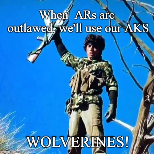 Wolverines | When  ARs are outlawed, we'll use our AKS; WOLVERINES! | image tagged in wolverines,resistance,freedom,socialism | made w/ Imgflip meme maker