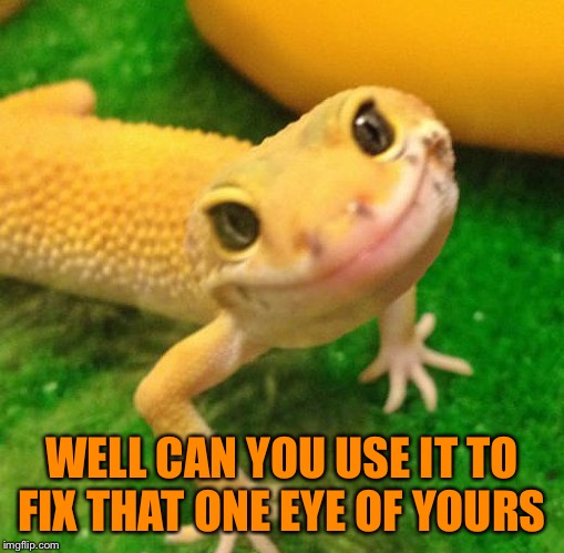 WELL CAN YOU USE IT TO FIX THAT ONE EYE OF YOURS | made w/ Imgflip meme maker