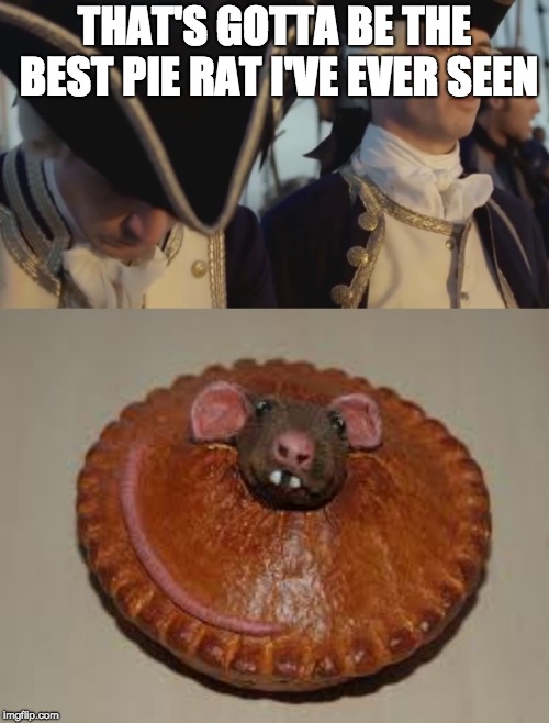 pie rats of the carribean |  THAT'S GOTTA BE THE BEST PIE RAT I'VE EVER SEEN | image tagged in thats gotta be the best pirate i've ever seen | made w/ Imgflip meme maker