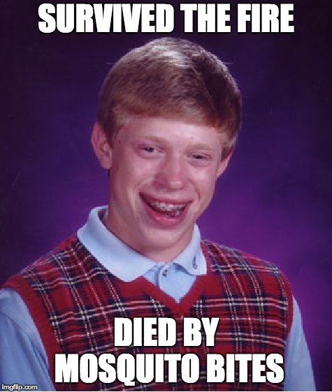 Bad Luck Brian Meme |  SURVIVED THE FIRE; DIED BY MOSQUITO BITES | image tagged in memes,bad luck brian | made w/ Imgflip meme maker