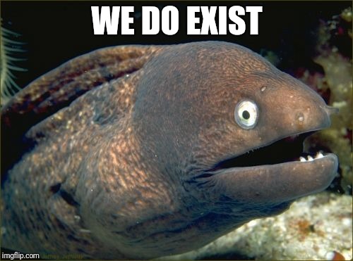 Bad Joke Eel Meme | WE DO EXIST | image tagged in memes,bad joke eel | made w/ Imgflip meme maker