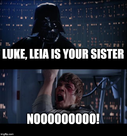 Star Wars No | LUKE, LEIA IS YOUR SISTER; NOOOOOOOOO! | image tagged in memes,star wars no | made w/ Imgflip meme maker