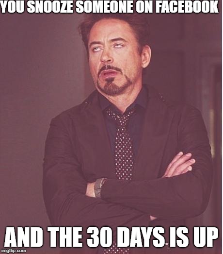 iron man eye roll | YOU SNOOZE SOMEONE ON FACEBOOK; AND THE 30 DAYS IS UP | image tagged in iron man eye roll | made w/ Imgflip meme maker