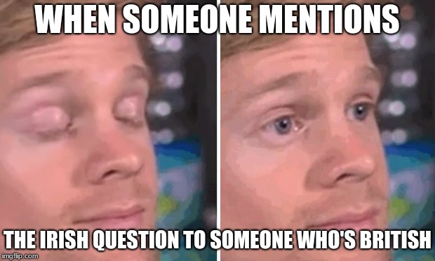 White guy blinking | WHEN SOMEONE MENTIONS; THE IRISH QUESTION TO SOMEONE WHO'S BRITISH | image tagged in white guy blinking | made w/ Imgflip meme maker