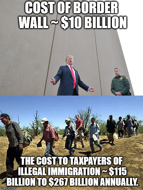 I don't understand why Democrats are opposed to the wall they once wholeheartedly supported.  | COST OF BORDER WALL ~ $10 BILLION; THE COST TO TAXPAYERS OF ILLEGAL IMMIGRATION ~ $115 BILLION TO $267 BILLION ANNUALLY. | image tagged in border wall | made w/ Imgflip meme maker