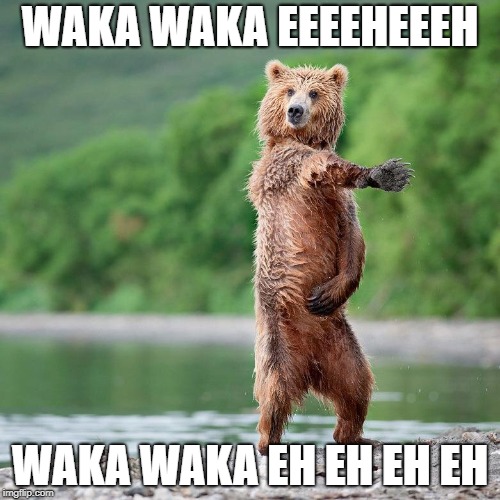 Dancing Bear | WAKA WAKA EEEEHEEEH; WAKA WAKA EH EH EH EH | image tagged in dancing bear | made w/ Imgflip meme maker