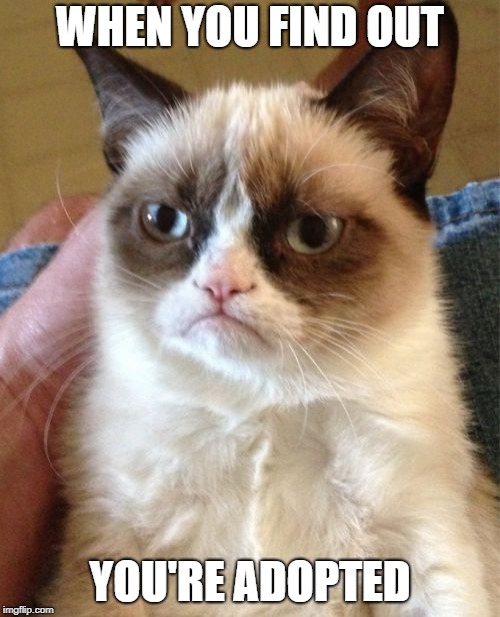 you're adopted | WHEN YOU FIND OUT; YOU'RE ADOPTED | image tagged in memes,grumpy cat | made w/ Imgflip meme maker