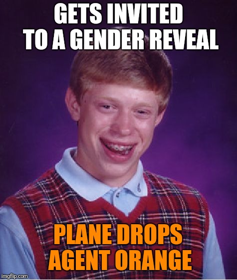Bad Luck Brian Meme | GETS INVITED TO A GENDER REVEAL PLANE DROPS AGENT ORANGE | image tagged in memes,bad luck brian | made w/ Imgflip meme maker