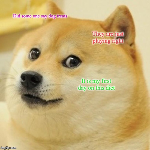 Doge | Did some one say dog treats; They are just playing right; It is my first day on this diet | image tagged in memes,doge | made w/ Imgflip meme maker