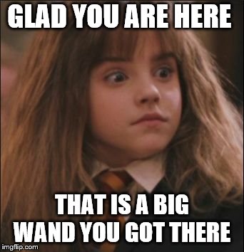 Glad You Are Here | GLAD YOU ARE HERE; THAT IS A BIG WAND YOU GOT THERE | image tagged in the face you make when someone says they hate harry potter,that is big,meme,memes,funny meme | made w/ Imgflip meme maker