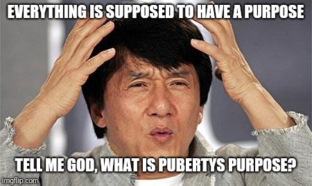 confused face | EVERYTHING IS SUPPOSED TO HAVE A PURPOSE; TELL ME GOD, WHAT IS PUBERTYS PURPOSE? | image tagged in confused face | made w/ Imgflip meme maker