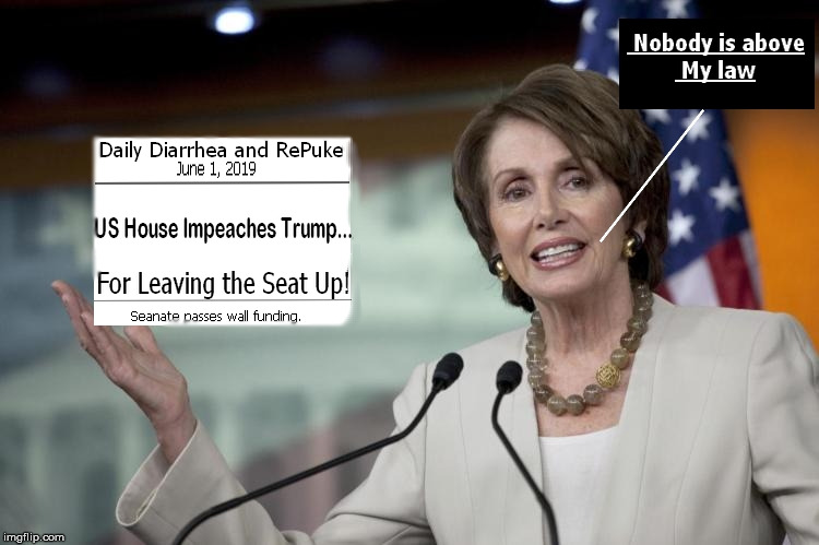 I did it!!! | image tagged in donald trump,nancy pelosi,impeachment | made w/ Imgflip meme maker