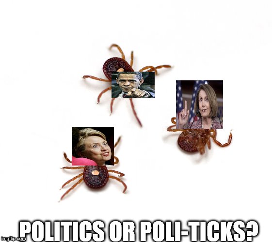 Poli means more than 1. Ticks are blood sucking creatures. | POLITICS OR POLI-TICKS? | image tagged in politics,bugs,nancy pelosi,hillary clinton,barack obama | made w/ Imgflip meme maker