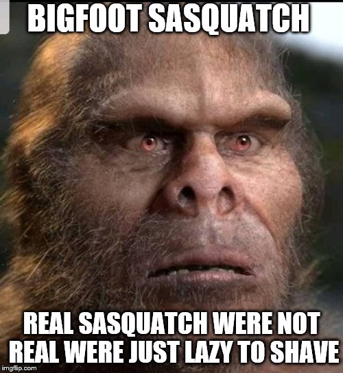 bigfoot sasquatch | BIGFOOT SASQUATCH; REAL SASQUATCH WERE NOT REAL WERE JUST LAZY TO SHAVE | image tagged in bigfoot,shave,no shave november,funny meme,meme,memes | made w/ Imgflip meme maker