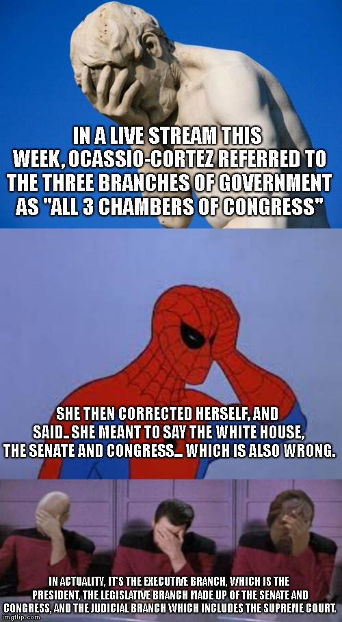 "Somehow I got elected, and I don't even have the political knowledge of a 3rd grade civics class !" | IN A LIVE STREAM THIS WEEK, OCASSIO-CORTEZ REFERRED TO THE THREE BRANCHES OF GOVERNMENT AS "ALL 3 CHAMBERS OF CONGRESS"; SHE THEN CORRECTED HERSELF, AND SAID.. SHE MEANT TO SAY THE WHITE HOUSE, THE SENATE AND CONGRESS... WHICH IS ALSO WRONG. IN ACTUALITY, IT'S THE EXECUTIVE BRANCH, WHICH IS THE PRESIDENT, THE LEGISLATIVE BRANCH MADE UP OF THE SENATE AND CONGRESS, AND THE JUDICIAL BRANCH WHICH INCLUDES THE SUPREME COURT. | image tagged in ocassio cortez,facepalm,democratic dummy,civics lesson | made w/ Imgflip meme maker