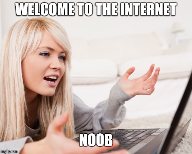 frustrated hot computer girl | WELCOME TO THE INTERNET; NOOB | image tagged in frustrated hot computer girl | made w/ Imgflip meme maker