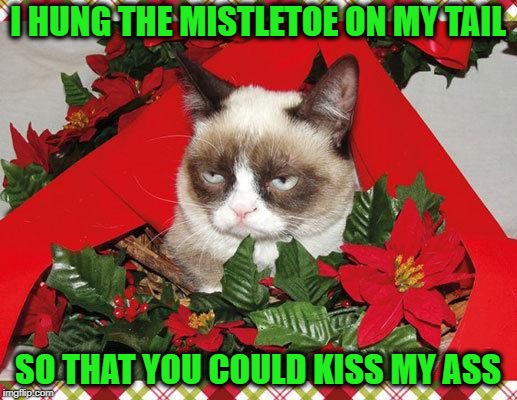 Unhappy Holidays  | I HUNG THE MISTLETOE ON MY TAIL; SO THAT YOU COULD KISS MY ASS | image tagged in memes,grumpy cat mistletoe,grumpy cat,cat,merry christmas | made w/ Imgflip meme maker