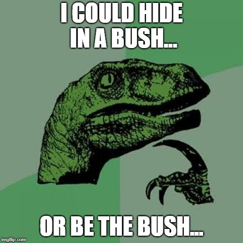 Philosoraptor Meme | I COULD HIDE IN A BUSH... OR BE THE BUSH... | image tagged in memes,philosoraptor | made w/ Imgflip meme maker