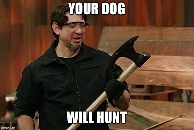 Doug Marcaida It Will Kill | YOUR DOG; WILL HUNT | image tagged in doug marcaida it will kill | made w/ Imgflip meme maker