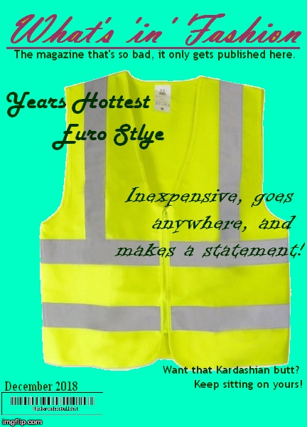 A Euro Style Worth Liking | image tagged in protests,yellow vest,memes | made w/ Imgflip meme maker