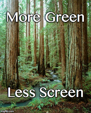 Forest | More Green; Less Screen | image tagged in forest | made w/ Imgflip meme maker
