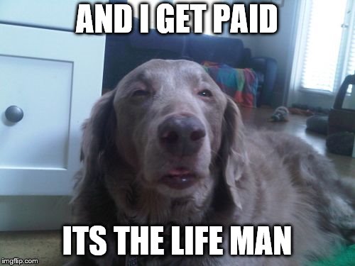 High Dog Meme | AND I GET PAID ITS THE LIFE MAN | image tagged in memes,high dog | made w/ Imgflip meme maker