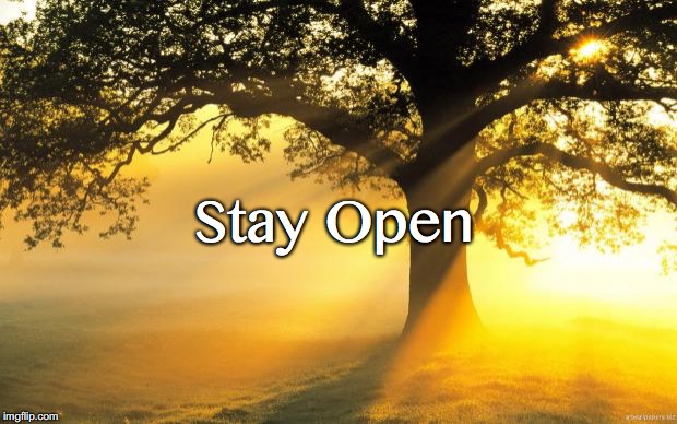 nature | Stay Open | image tagged in nature | made w/ Imgflip meme maker