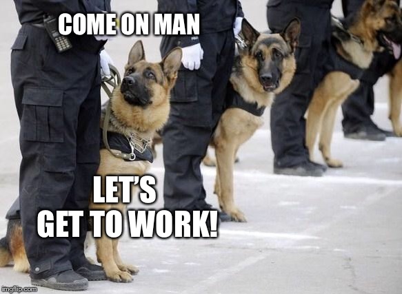 police dogs | COME ON MAN LET’S GET TO WORK! | image tagged in police dogs | made w/ Imgflip meme maker
