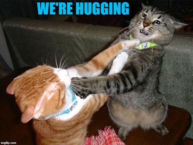 WE'RE HUGGING | made w/ Imgflip meme maker