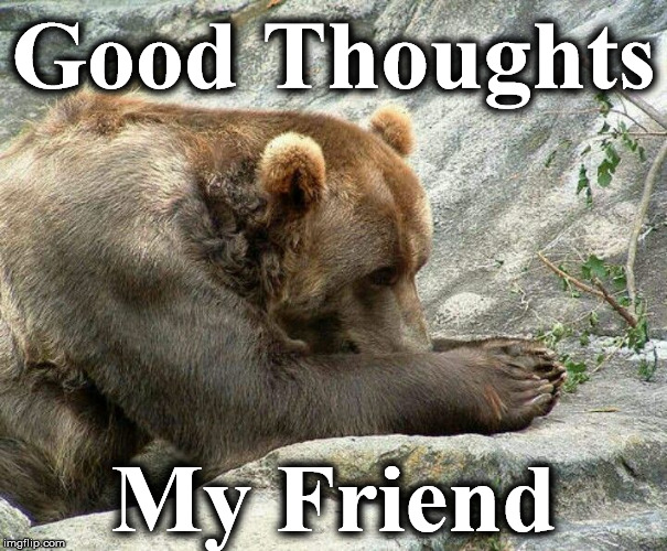 Good Thoughts; My Friend | image tagged in beeeer | made w/ Imgflip meme maker